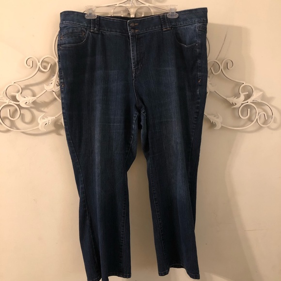 LANE BRYANT Distinctly Boot Jeans Tight Tummy Tech 24 W Petite - Picture 1 of 11